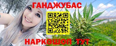 шишки Славгород