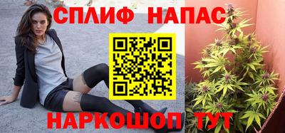 шишки Славгород