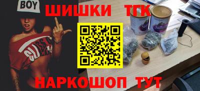 шишки Славгород