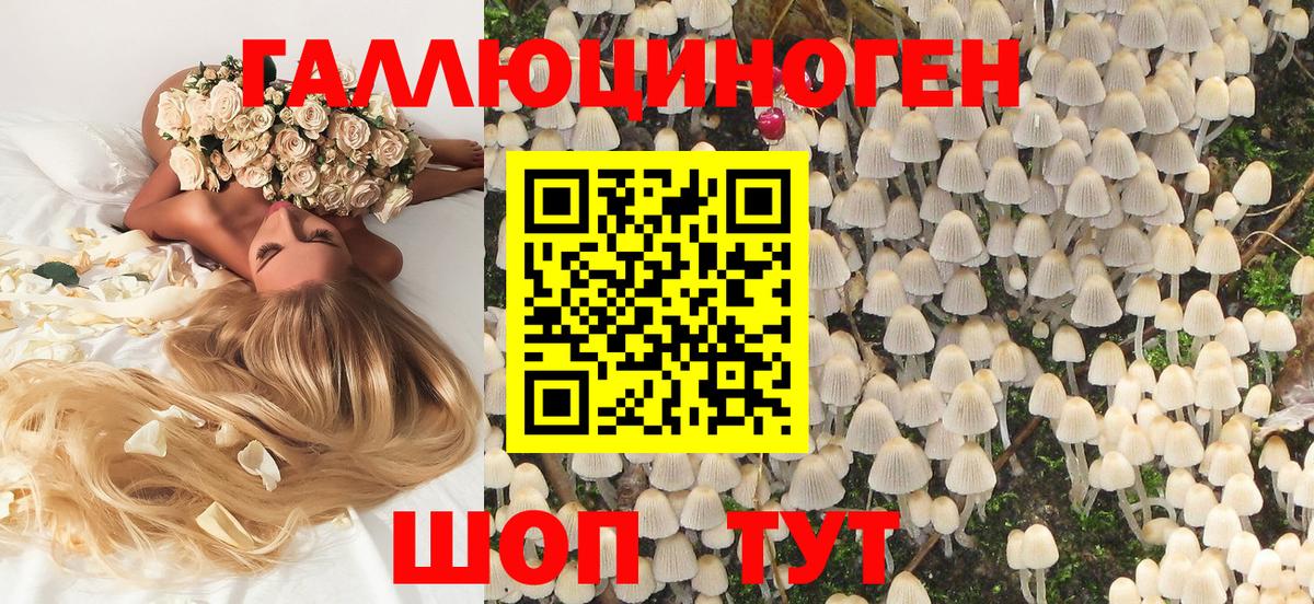 Псилоцибиновые грибы ЛСД Ачинск